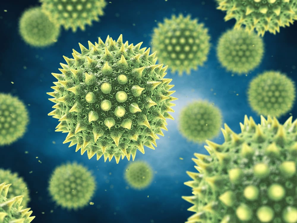 allergens in the air pollutants and asthma causing particles that can be reduced by adding new insulation to home